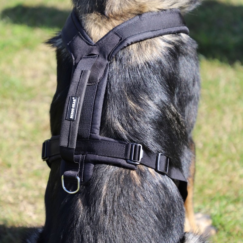 Hundegeschirr ultraleicht