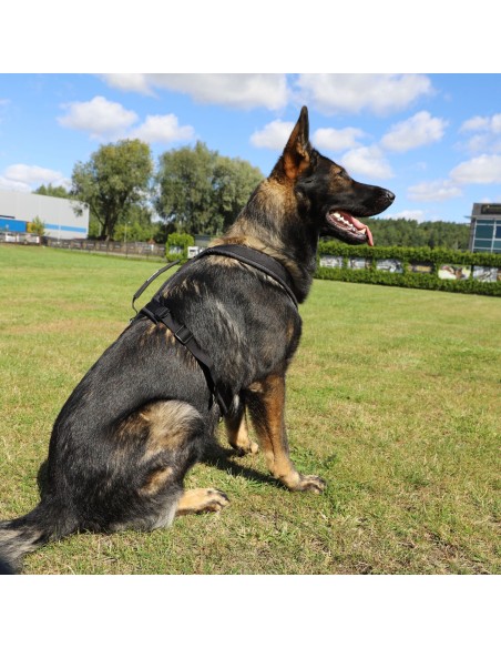 Hundegeschirr ultraleicht