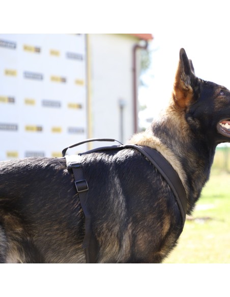 Hundegeschirr ultraleicht