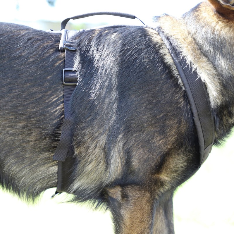 Hundegeschirr ultraleicht