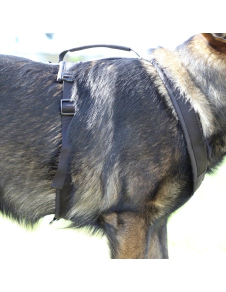 Hundegeschirr ultraleicht