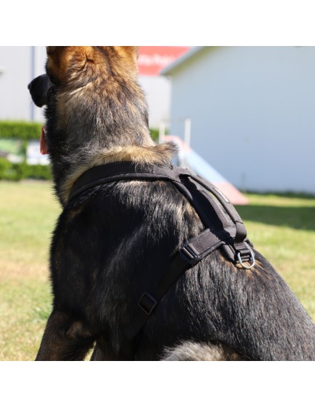 Hundegeschirr ultraleicht