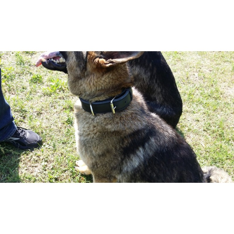 Hundehalsband Leder MAX Extrem stark und langlebig Schwarz 2