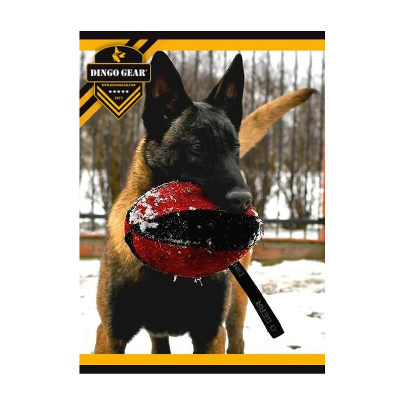 Hundespielzeug Rugby Apporte mit Griff