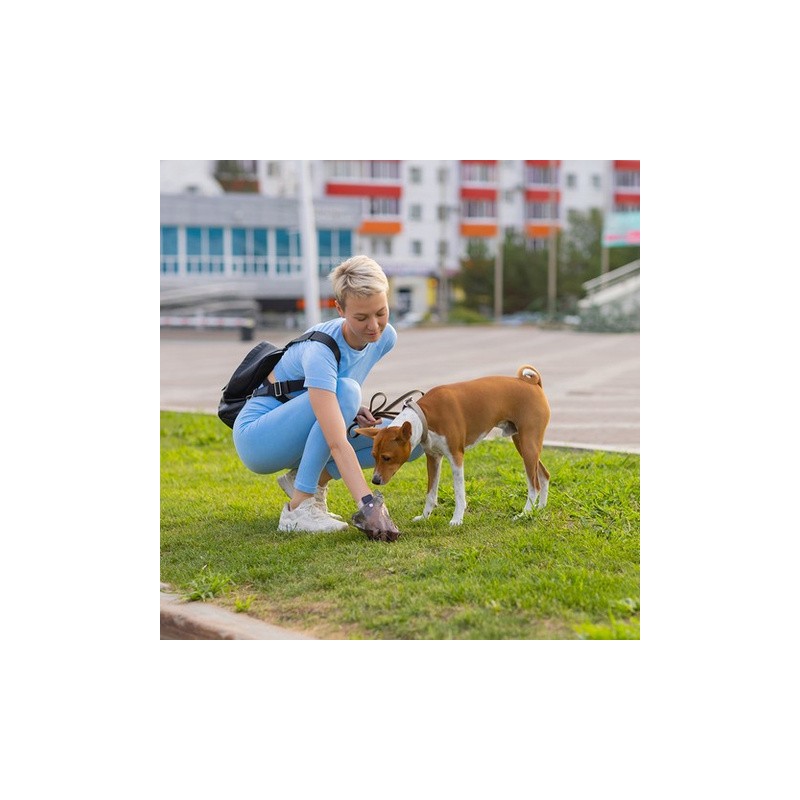 Hundekotbeutel Set 1000 Stück plus Etui