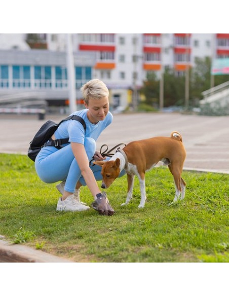 Hundekotbeutel Set 1000 Stück plus Etui