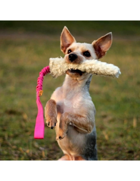 Dingo Beißwülste Wolle mit Griff Bungee