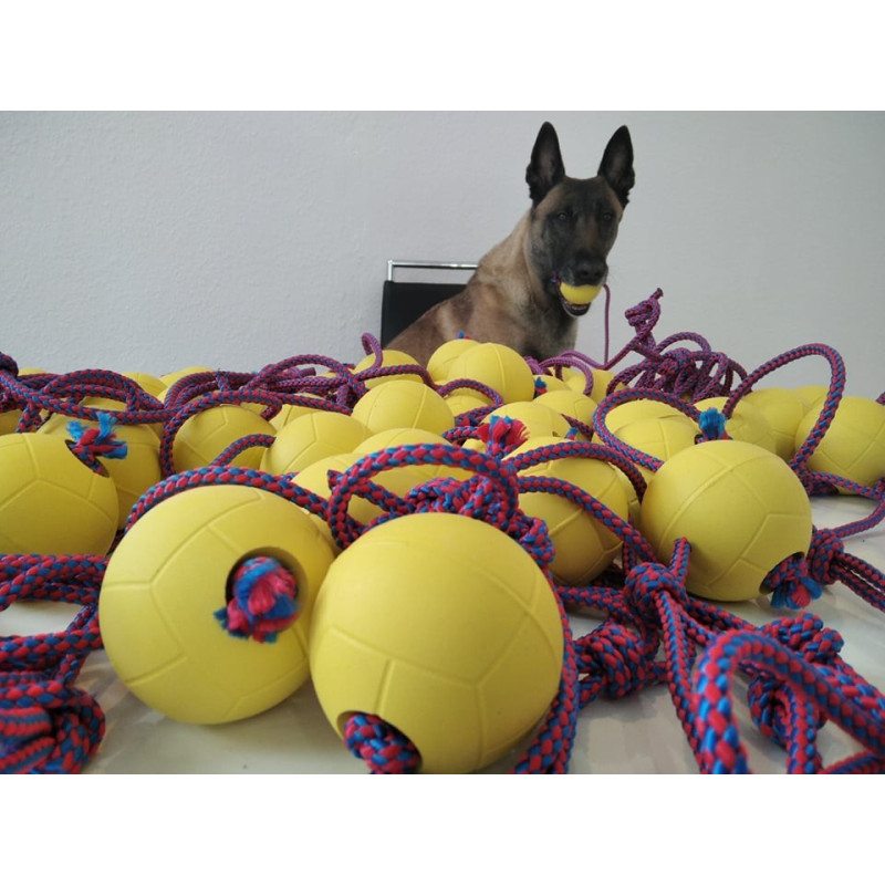 Hundebälle aus Gummi