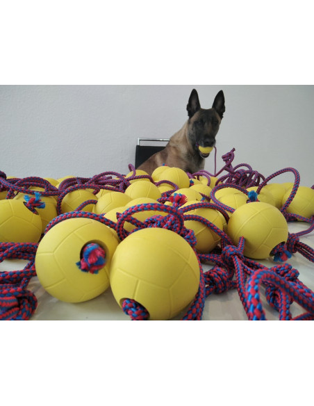 Hundebälle aus Gummi