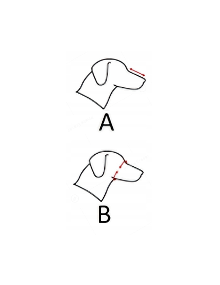 Champion Ledermaulkorb Chihuahua   YORKSHIRE T.  Ratler / Rattler