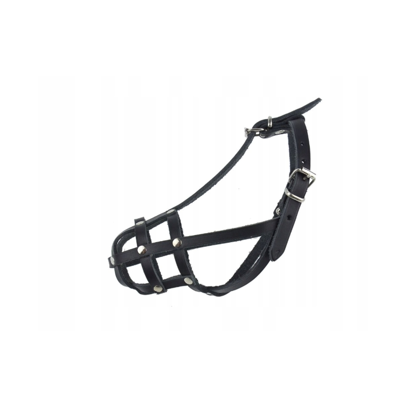 Champion Ledermaulkorb Chihuahua   YORKSHIRE T.  Ratler /...