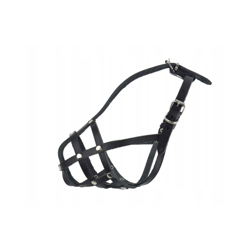 Champion Ledermaulkorb Papillon  Spitz