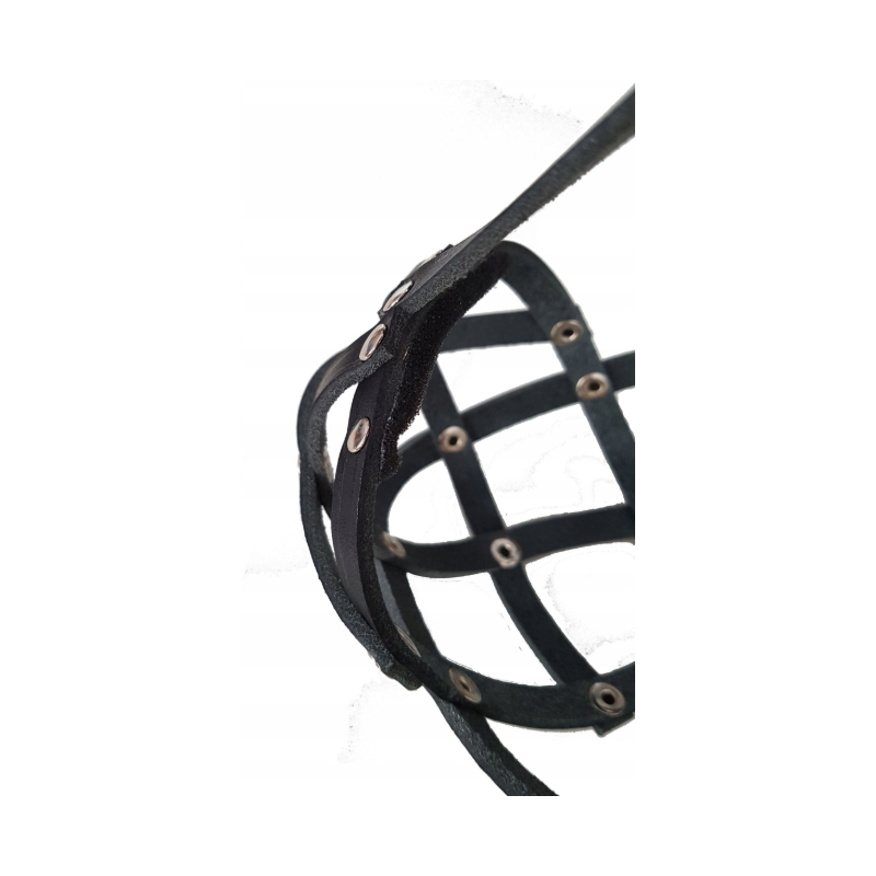 Champion Ledermaulkorb Pudel / Poodle Husky 2