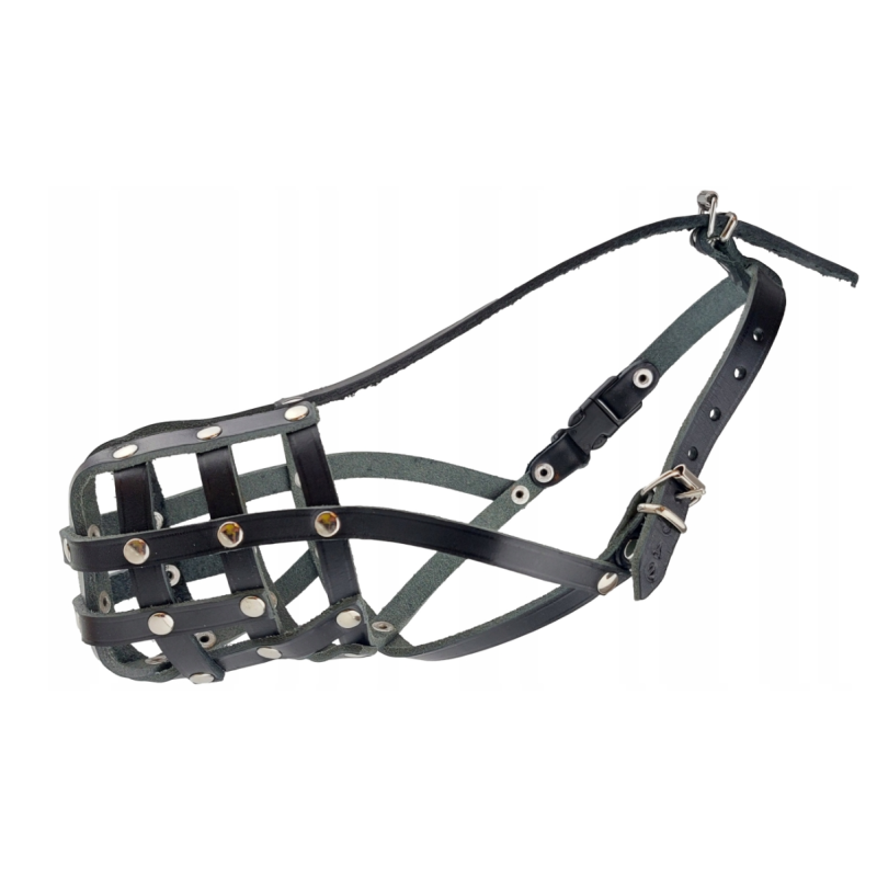 Champion Ledermaulkorb Dachshund