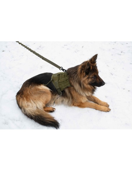 Hundegeschirr Hochwertiges Brustgeschirr