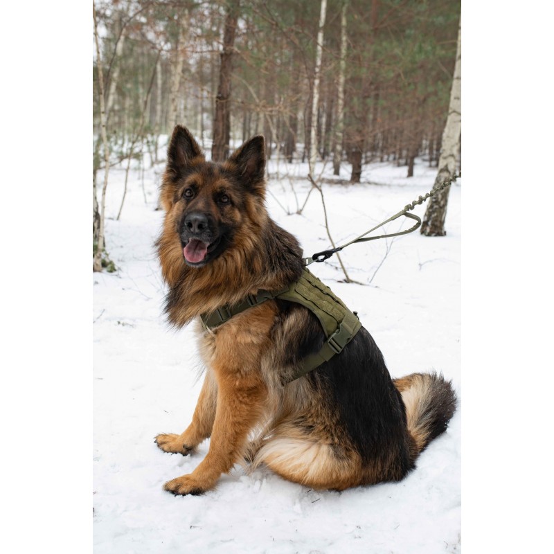 Hundegeschirr Hochwertiges Brustgeschirr