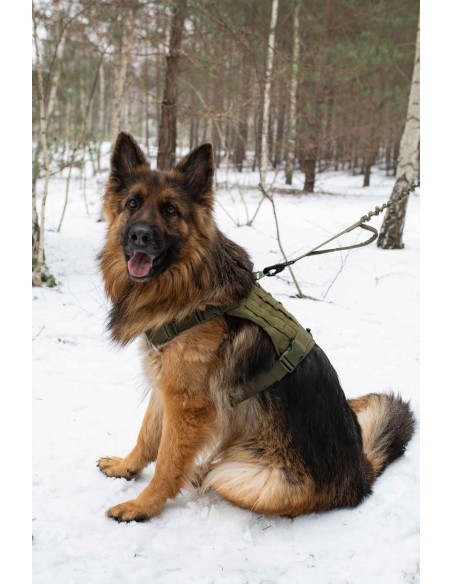 Hundegeschirr Hochwertiges Brustgeschirr