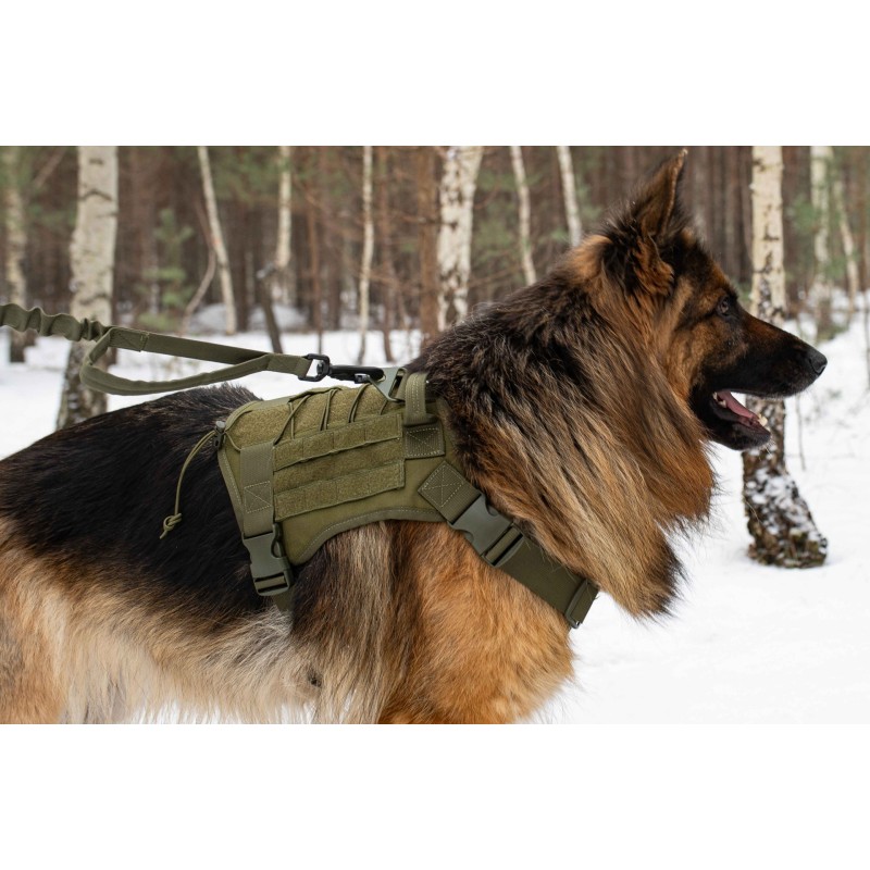 Hundegeschirr Hochwertiges Brustgeschirr