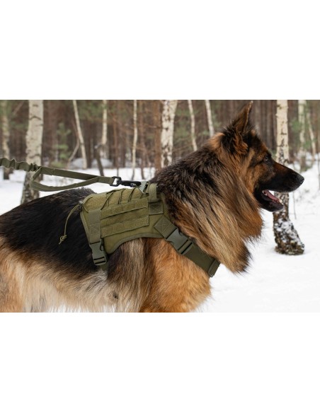 Hundegeschirr Hochwertiges Brustgeschirr