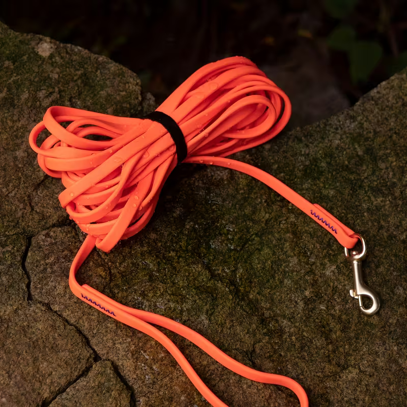 Hundeleine-Wasserdichte 5m und 6m