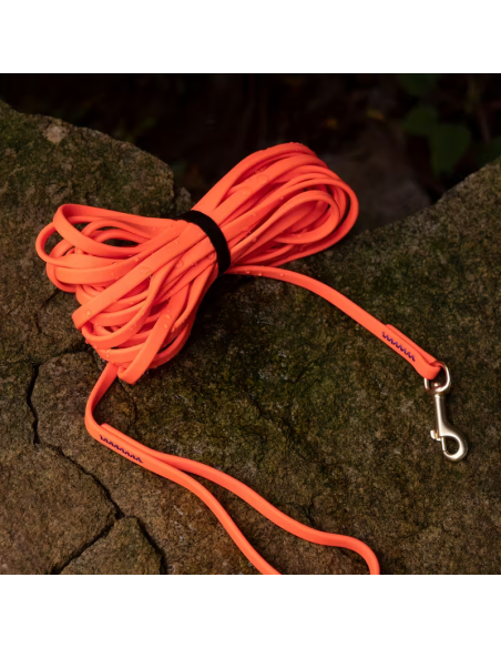 Hundeleine-Wasserdichte 5m und 6m