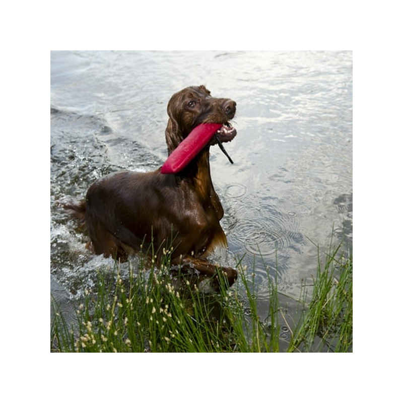 Dingo Hundespielzeug Beisswurst 2