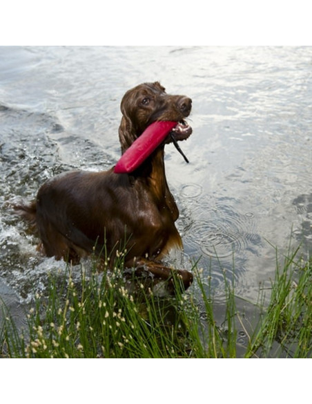 Dingo Hundespielzeug Beisswurst