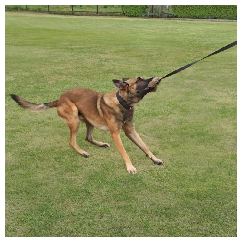 Dingo Hundespielzeug Kunstfell mit Quietsch