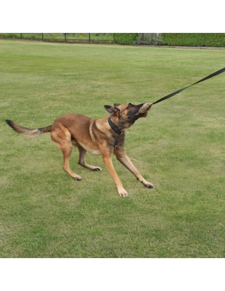 Dingo Hundespielzeug Kunstfell mit Quietsch