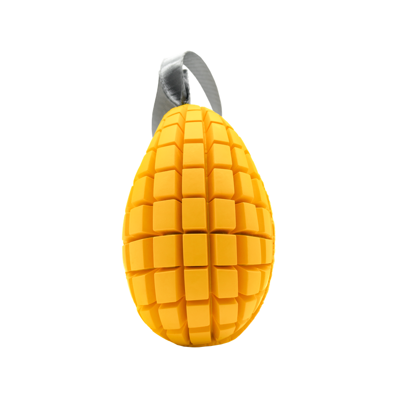 Hundespielzeug FRUIT CHALLENGE Mango