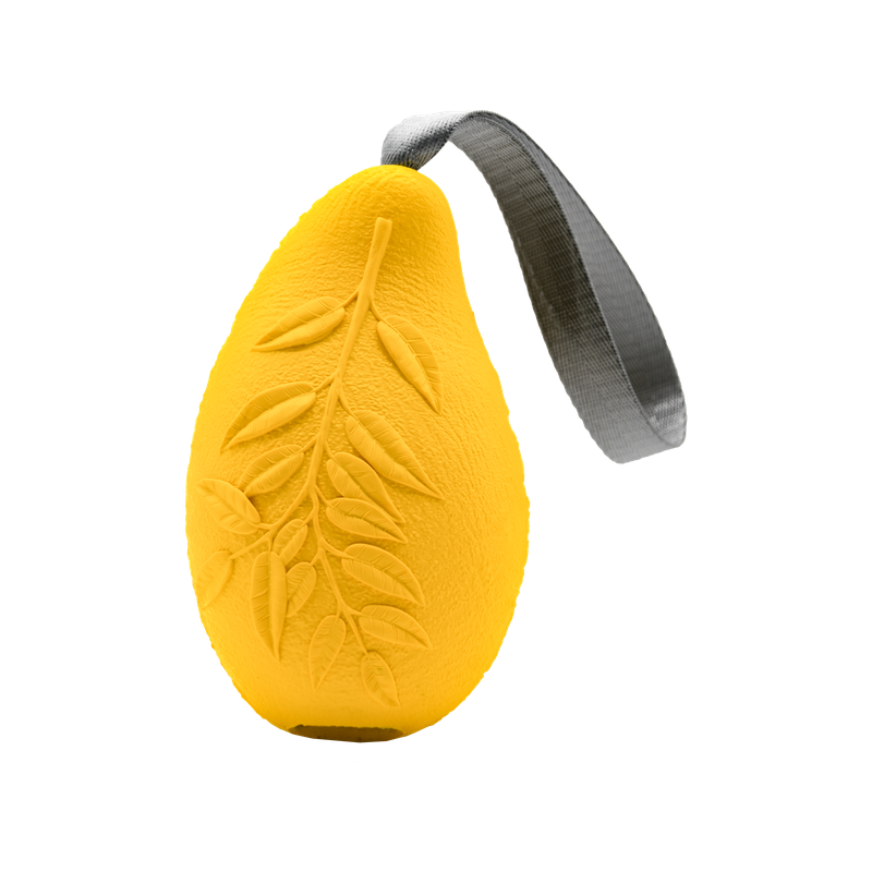 Hundespielzeug FRUIT CHALLENGE Mango