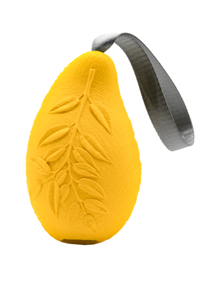 Hundespielzeug FRUIT CHALLENGE Mango