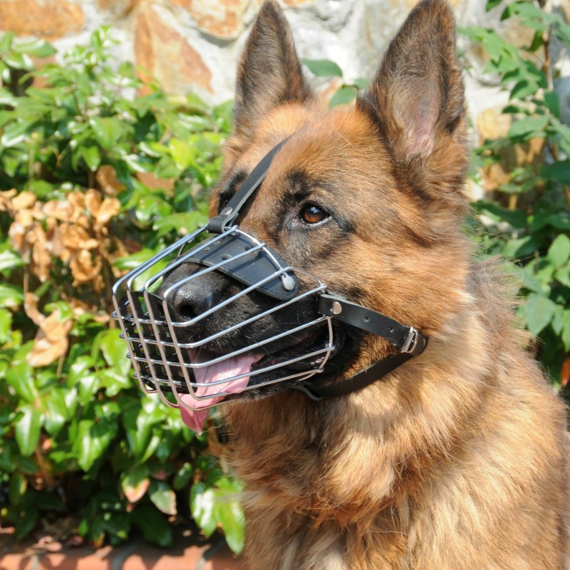 Dingo Mettal Maulkorb mit Kunststoffgitter