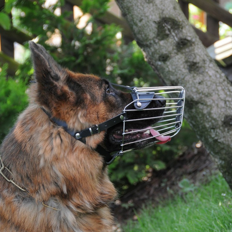 Dingo Mettal Maulkorb mit Kunststoffgitter