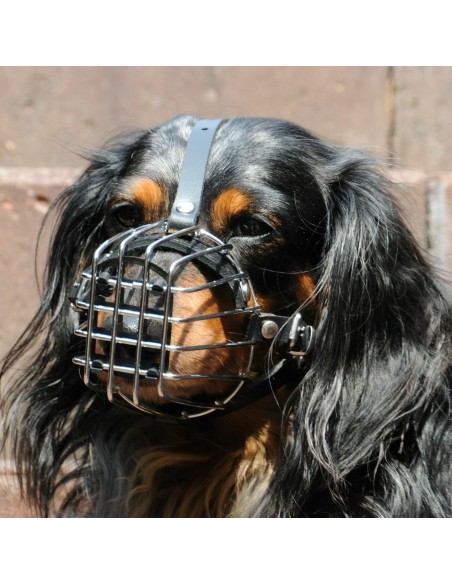 Dingo Mettal Maulkorb mit Kunststoffgitter