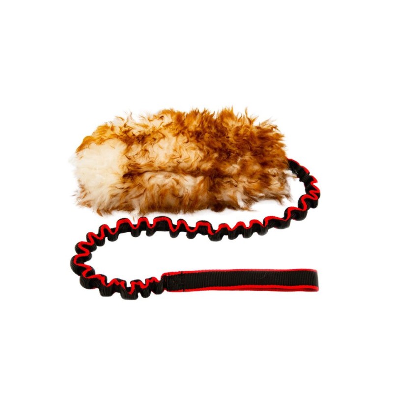 Hundespielzeug–Bungee-Ringzerrspiel-natürlichem...