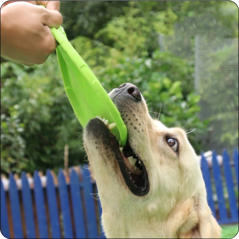 3er-Set Frisbee für Hunde – Wurfscheiben zum...