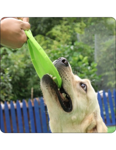 3er-Set Frisbee für Hunde – Wurfscheiben zum Apportieren & Spielen – 22 cm