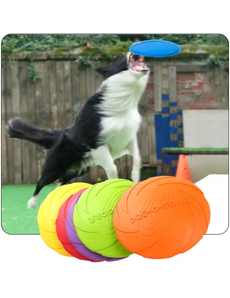 3er-Set Frisbee für Hunde – Wurfscheiben zum Apportieren & Spielen – 22 cm
