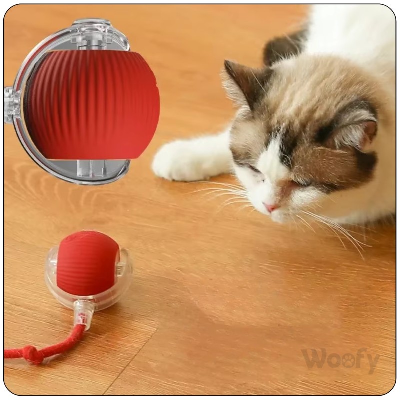 Interaktiver Ball für Hund & Katze USB LED selbstrollend... 2