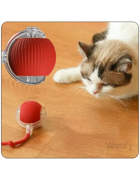 Interaktiver Ball für Hund & Katze USB LED selbstrollend Intelligenzspielzeug