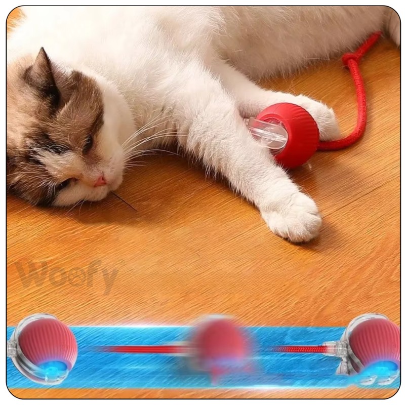 Interaktiver Ball für Hund & Katze USB LED...