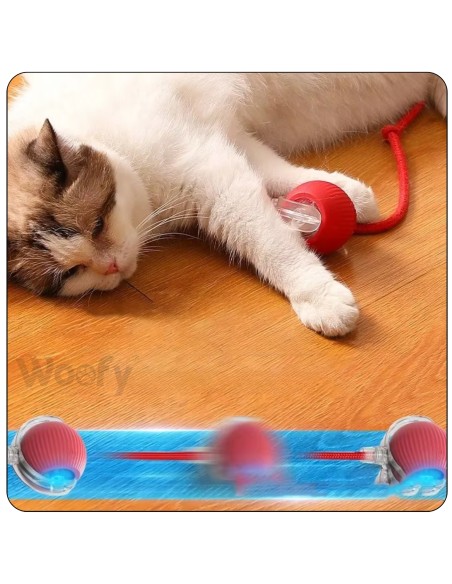 Interaktiver Ball für Hund & Katze USB LED selbstrollend Intelligenzspielzeug