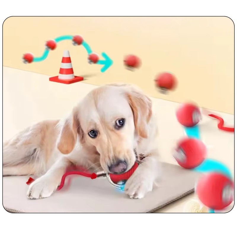 Interaktiver Ball für Hund & Katze USB LED...