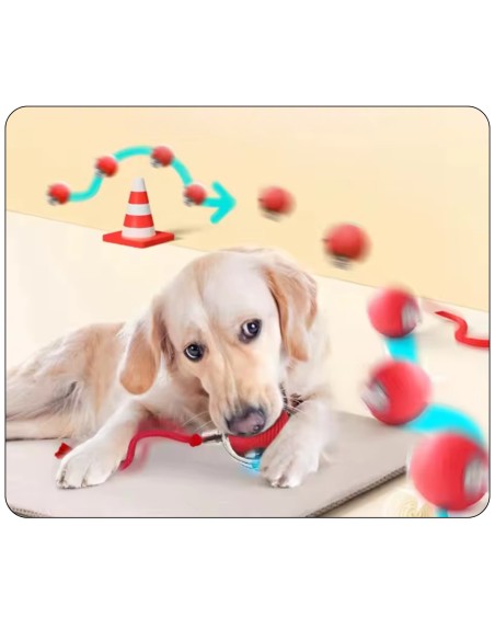 Interaktiver Ball für Hund & Katze USB LED selbstrollend Intelligenzspielzeug