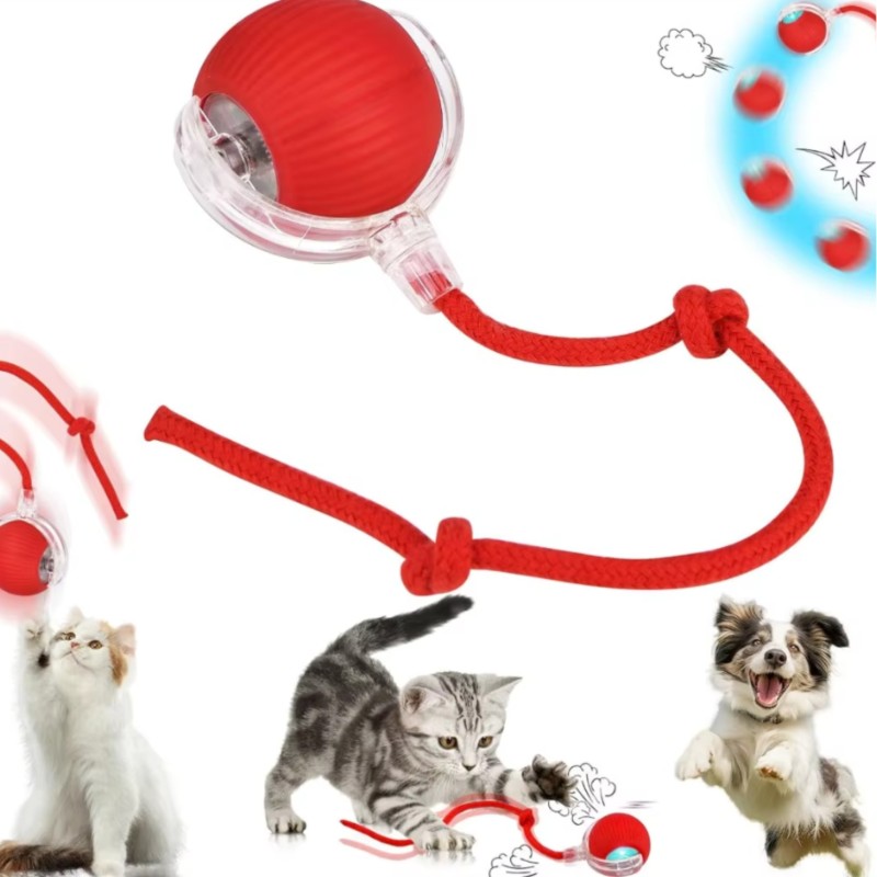 Interaktiver Ball für Hund & Katze USB LED...
