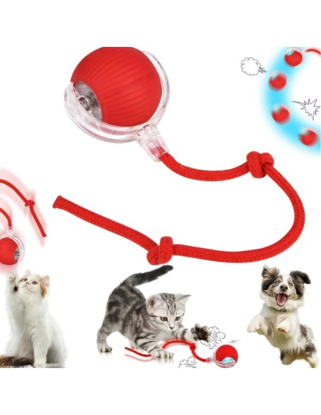 Interaktiver Ball für Hund & Katze USB LED selbstrollend Intelligenzspielzeug