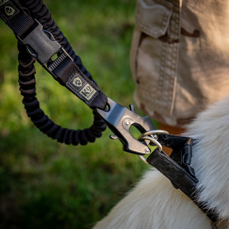 Hundeleine mit Stoßdämpfer 250cm