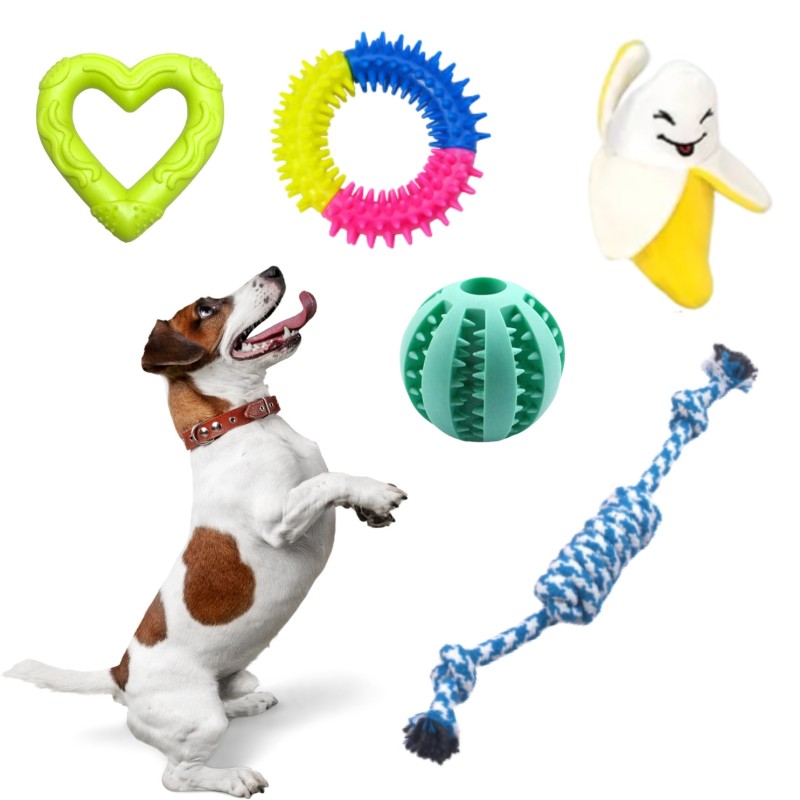 Adventure Dogs – 17-teiliges Hundespielzeug-Set...