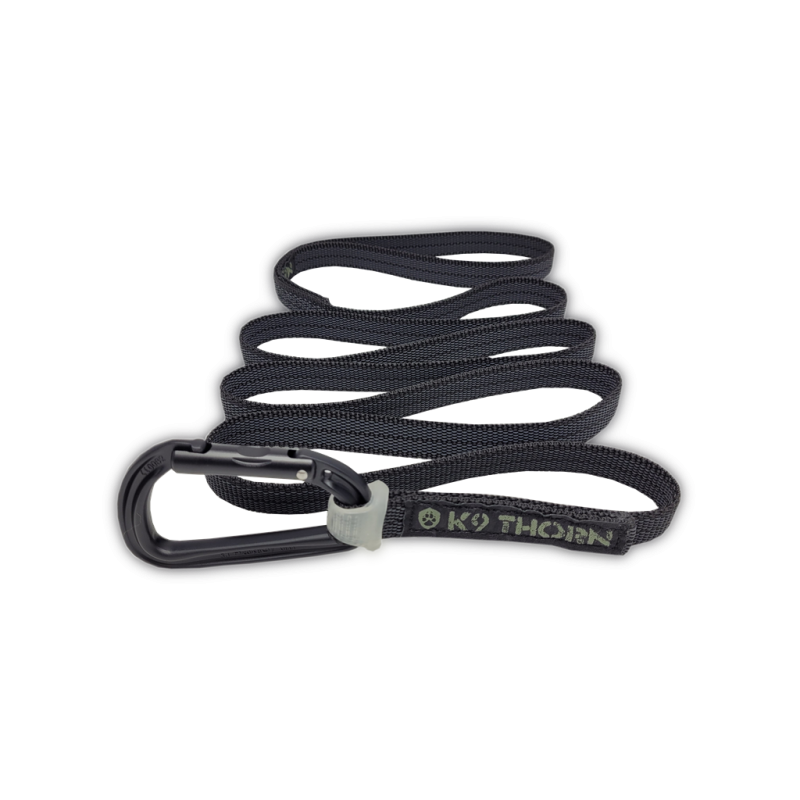 Hundeleinen Gummierte Leine Petzl 200 cm